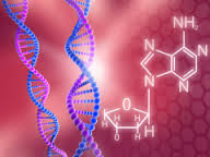Ученые научились по-новому читать ДНК