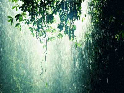 Необычные факты о дожде