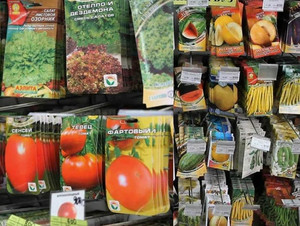 Продажа семян оптом – актуальна для российских садоводов